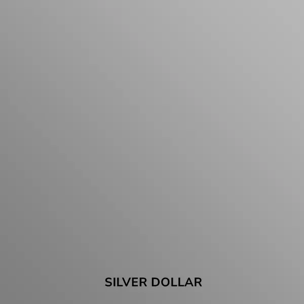 Siser EasyPSV Permanent Vinil adhesivo permanente - Color Silver Dollar